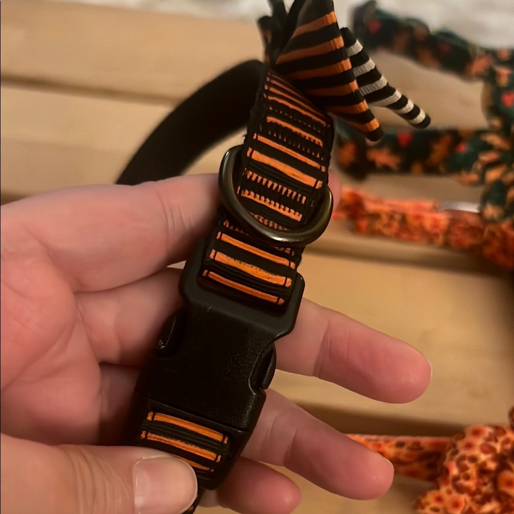 Set of Holiday Collars for Dogs - Picture 3 of 8